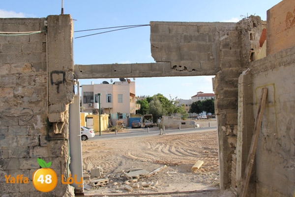 sakis family ard 826 (11).JPG